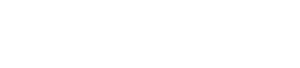 W_WordPress_logo